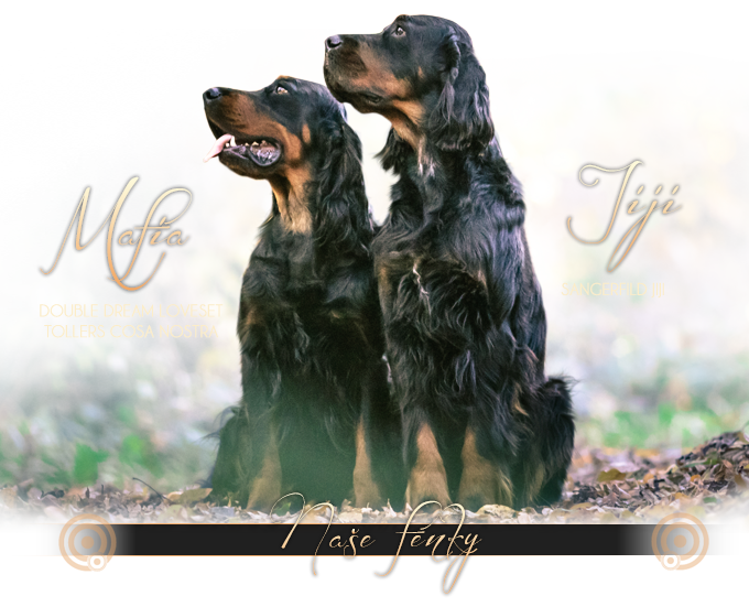 Gordon setr SANGERFILD JIJI a DOUBLE DREAM LOVESET TOLLERS COSA NOSTRA