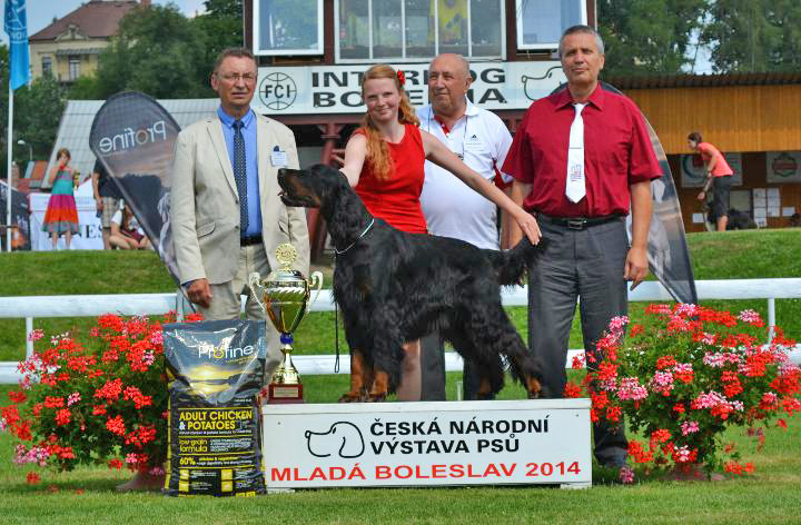 Gordon setter brno Klatovy